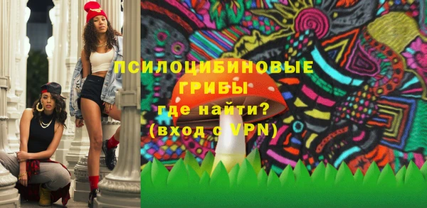 гашик Балахна