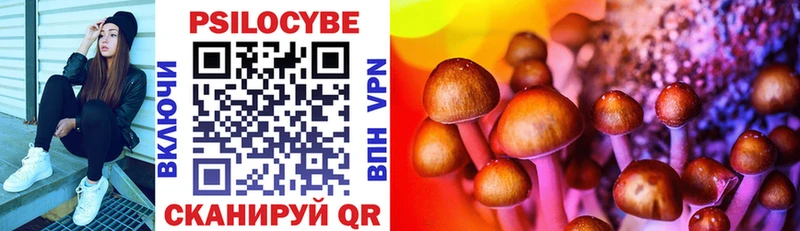 где найти Ревда Псилоцибиновые грибы MAGIC MUSHROOMS